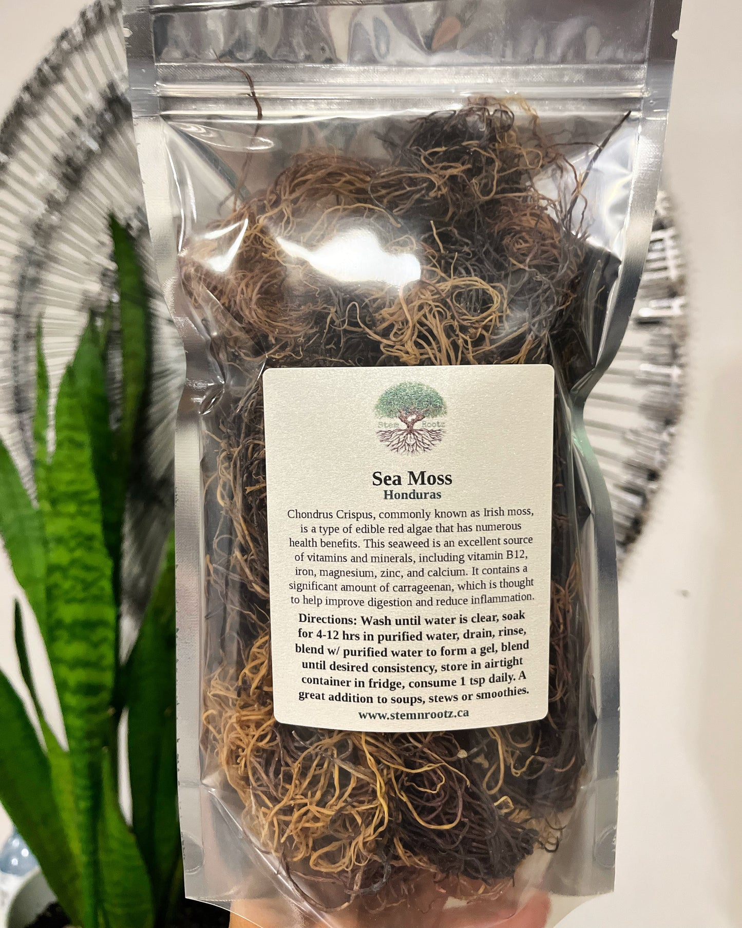 Honduras Sea Moss 3oz