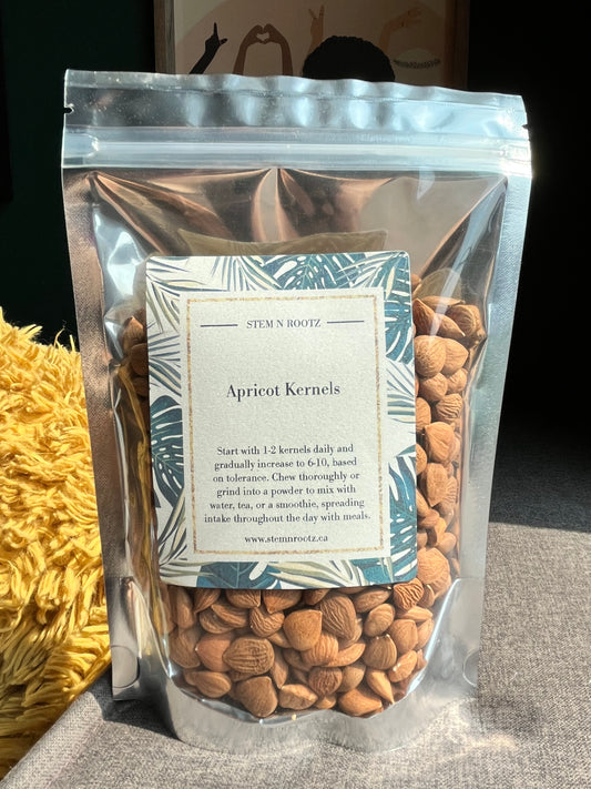 Apricot Kernels – Immune Support, Digestive Health, and Overall Vitality 8oz