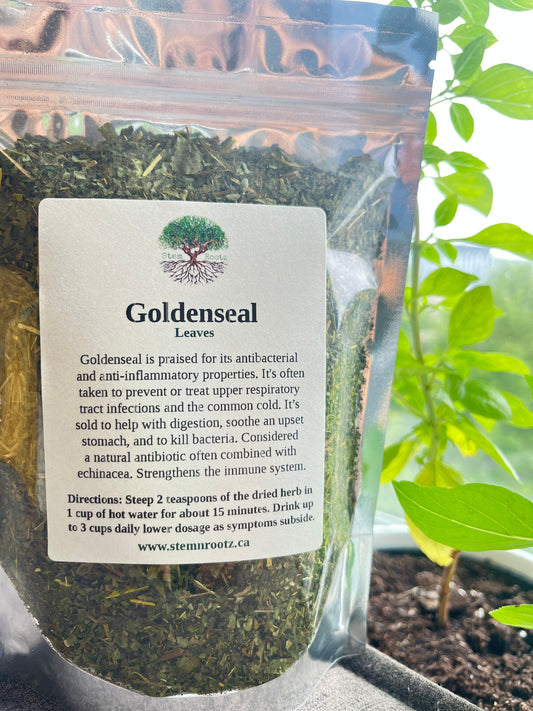 Goldenseal Leaf Tea – Immune Support, Digestive Health, and Natural Detoxification 1.5oz