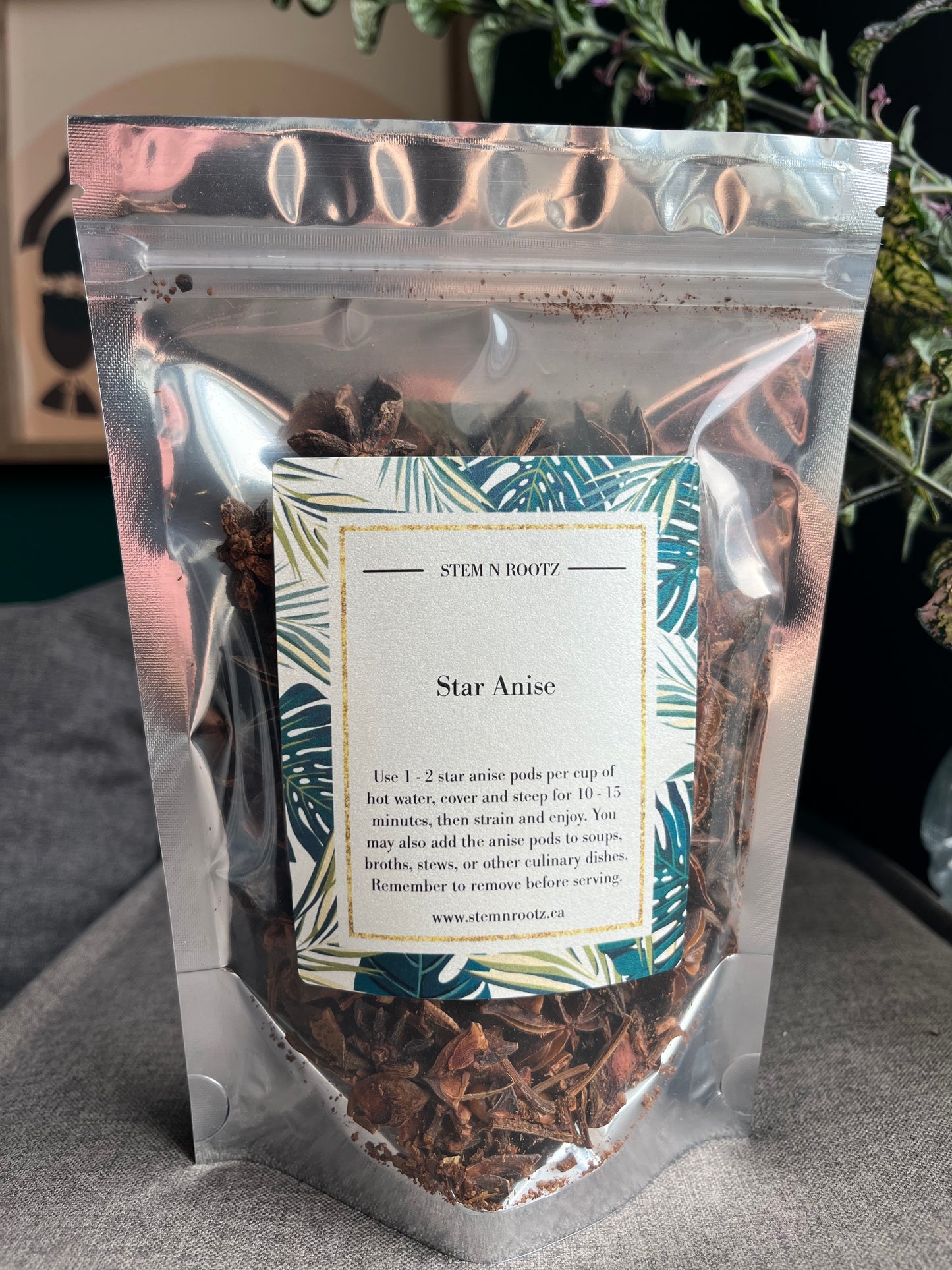 Star Anise – Digestive Support, Immune Defense, and Respiratory Health 3oz