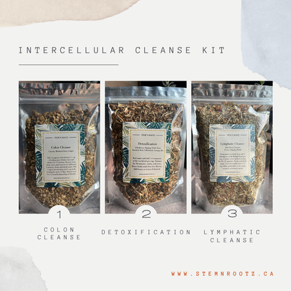 Stem n Rootz Intercellular Cleanse, 3-step herbal tea wellness kit – original product image