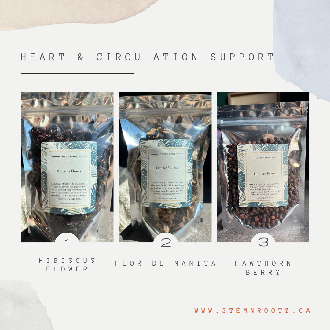 Heart & Circulation Support Bundle
