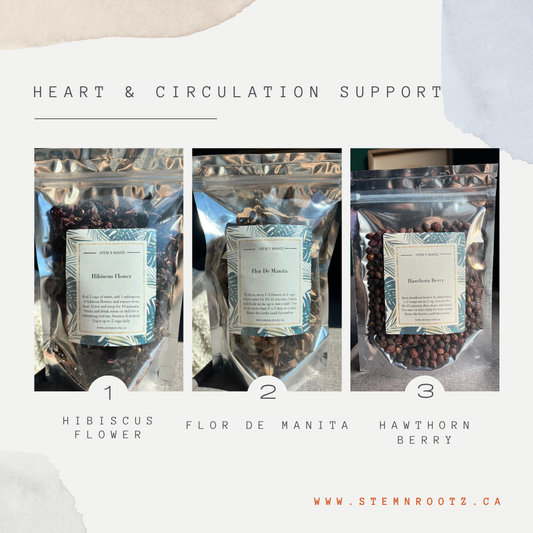 Heart & Circulation Support Bundle
