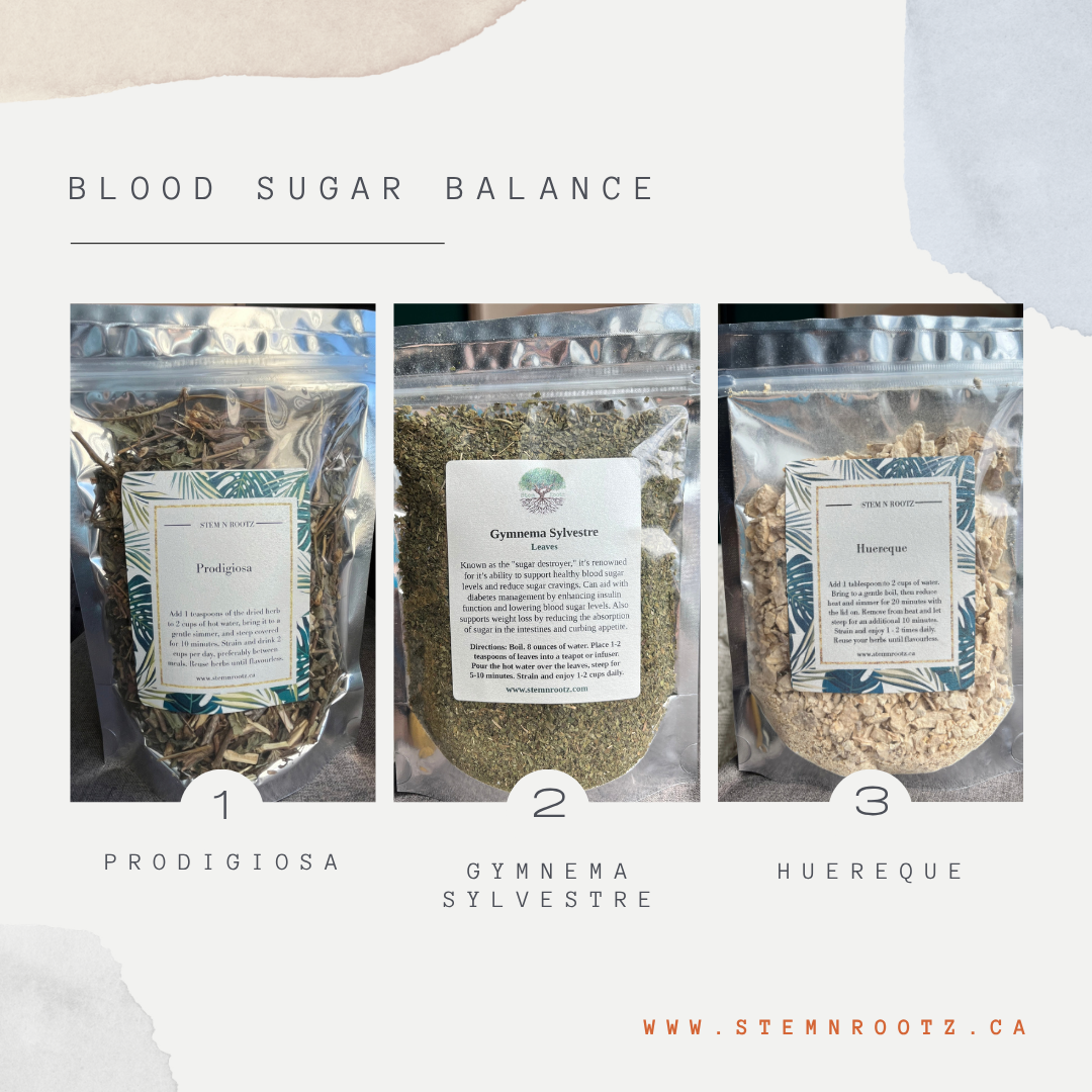 Blood Sugar Balance Kit
