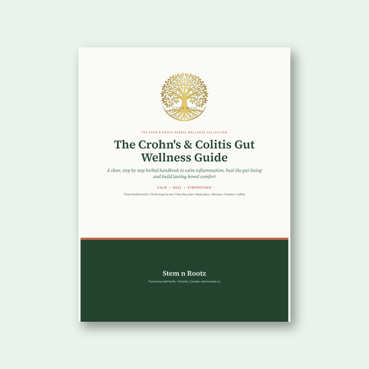 The Crohn's & Colitis Gut Wellness Guide by Stem n Rootz, cover