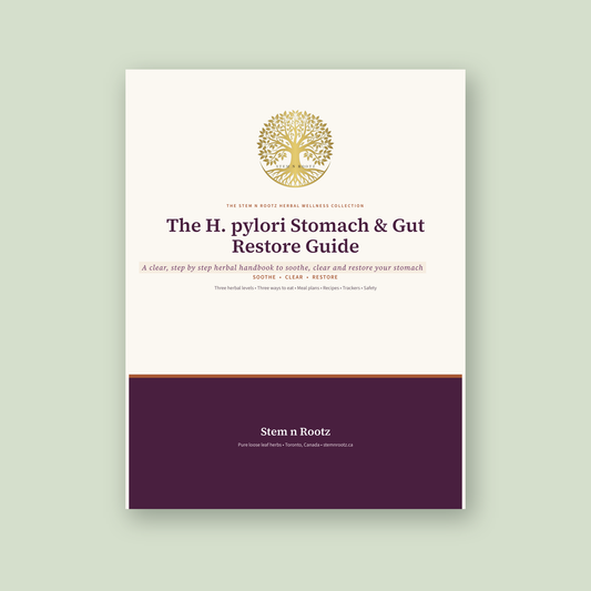 The H. pylori Stomach & Gut Restore Guide | 8 Week Herbal Wellness Protocol