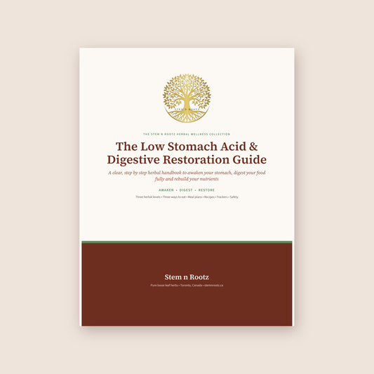 The Low Stomach Acid & Digestive Restoration Guide by Stem n Rootz, cover