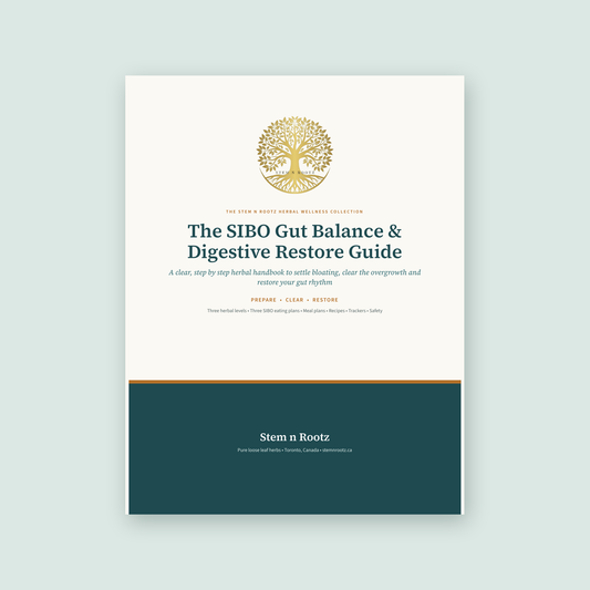 The SIBO Gut Balance & Digestive Restore Guide by Stem n Rootz, cover