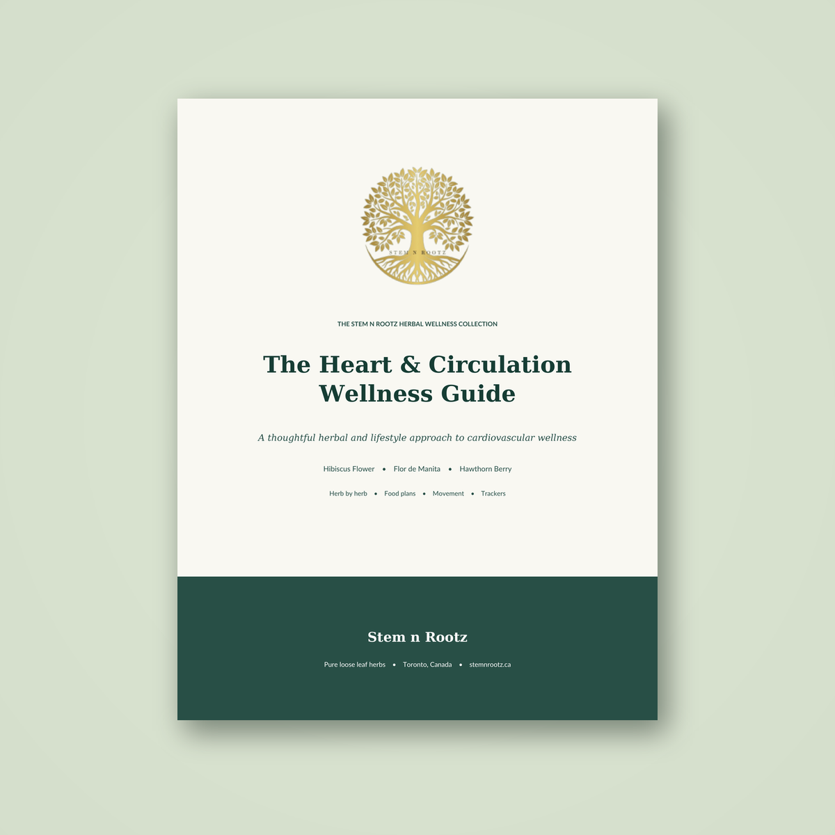 Stem n Rootz Heart & Circulation Wellness Guide – product photo