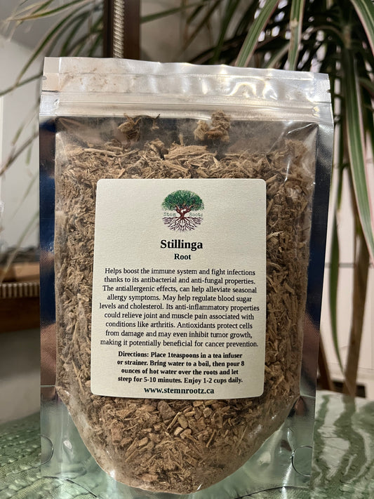 Stem n Rootz – Stillingia Root loose leaf herbal tea in resealable 4oz pouch