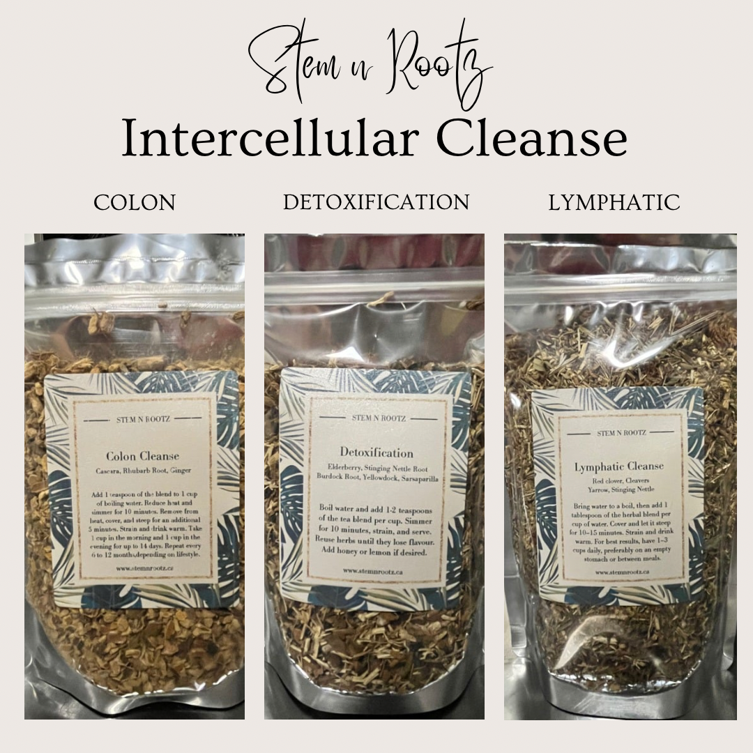 Intercellular Cleanse – Stem n Rootz