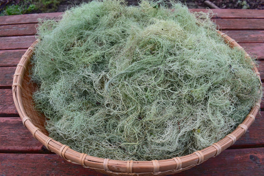 Usnea aka Tree Moss 4oz