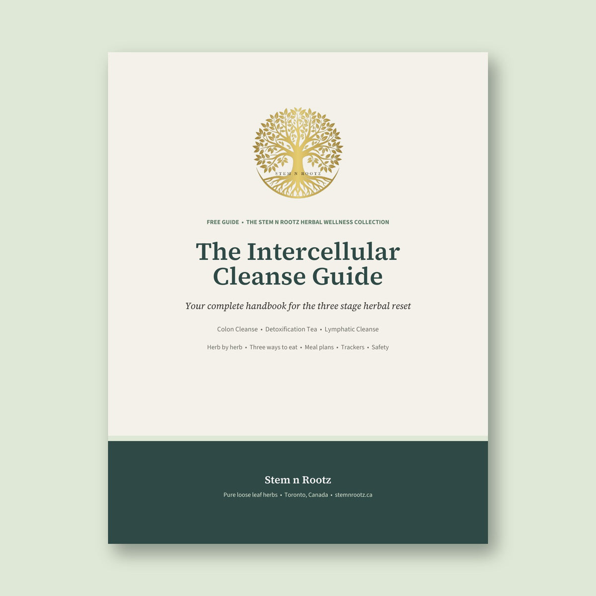 The Intercellular Cleanse Guide by Stem n Rootz, free digital download cover