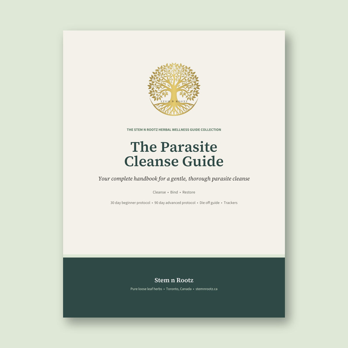 The Parasite Cleanse Guide by Stem n Rootz, digital PDF cover