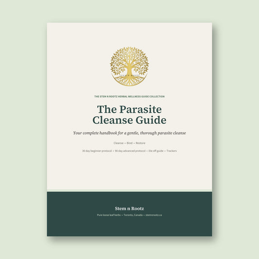 The Parasite Cleanse Guide by Stem n Rootz, digital PDF cover
