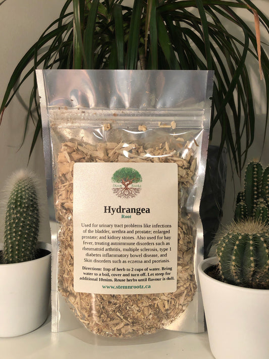 Hydrangea root loose leaf herbal tea in resealable 3oz pouch
