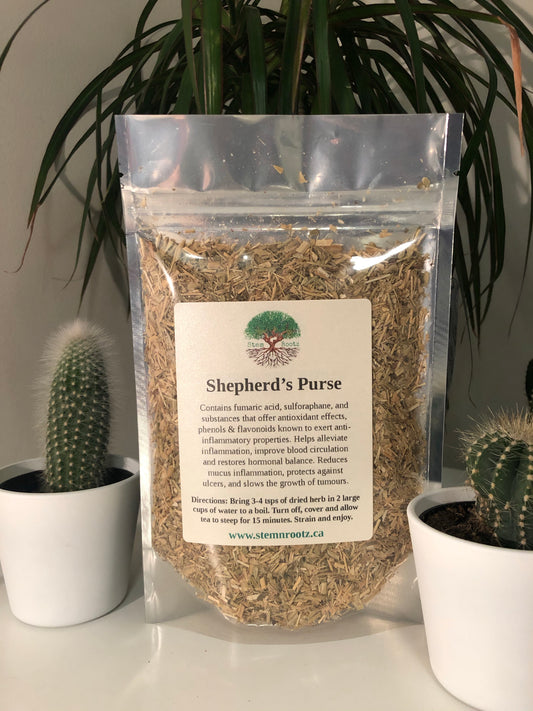 Shepherd's purse loose leaf herbal tea in resealable 2oz pouch
