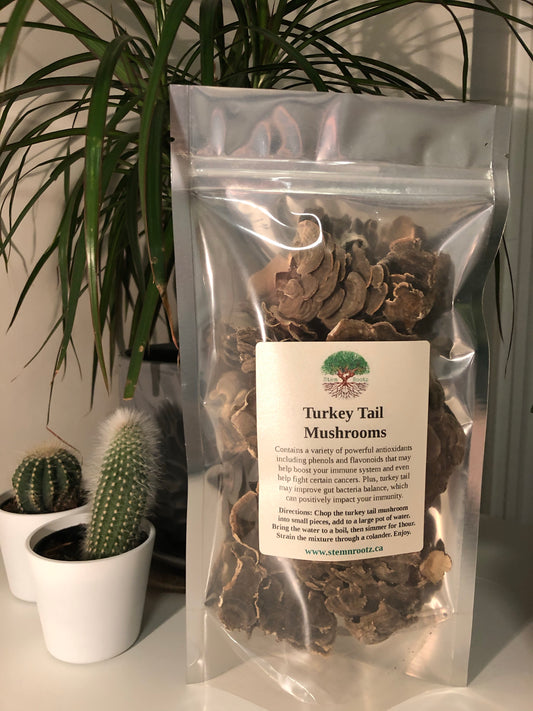 Stem n Rootz – Turkey tail mushroom loose leaf herbal tea in resealable 2oz pouch