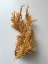 Load image into Gallery viewer, sea moss 3oz