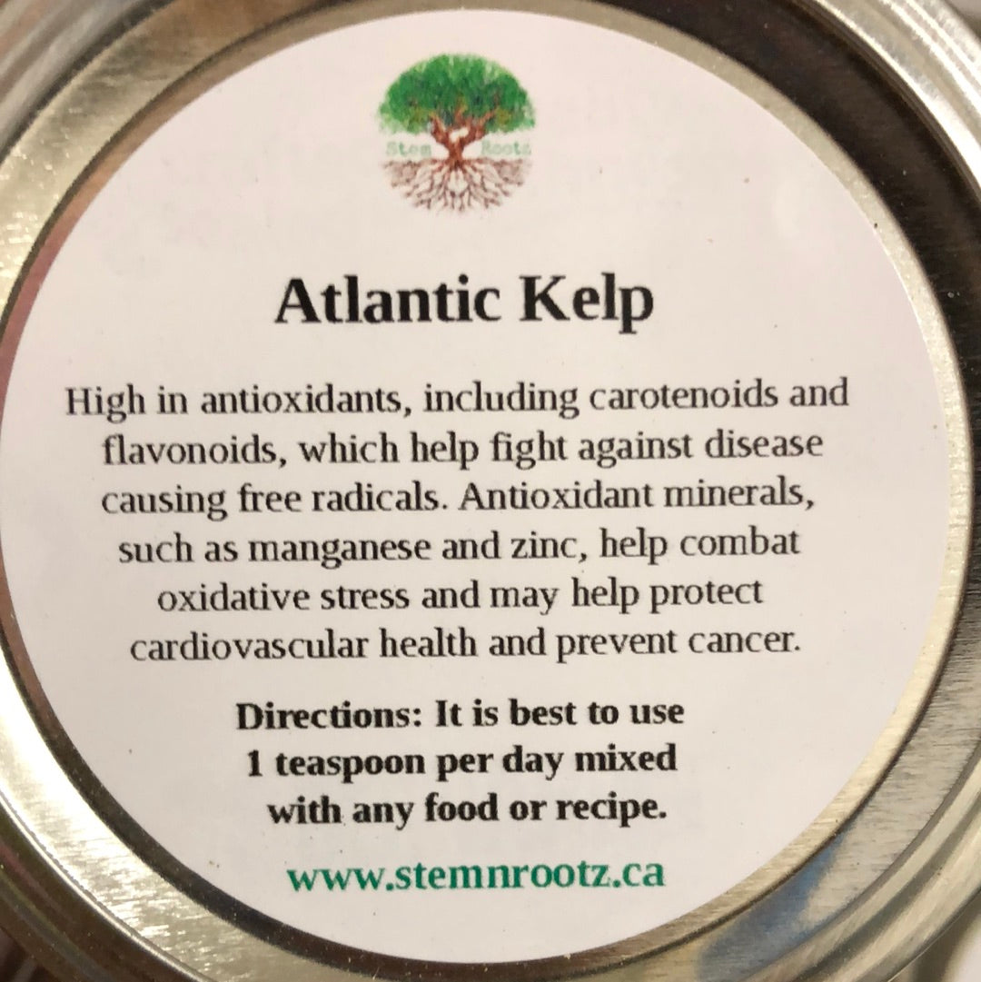 atlantic kelp powder (250ml jar)