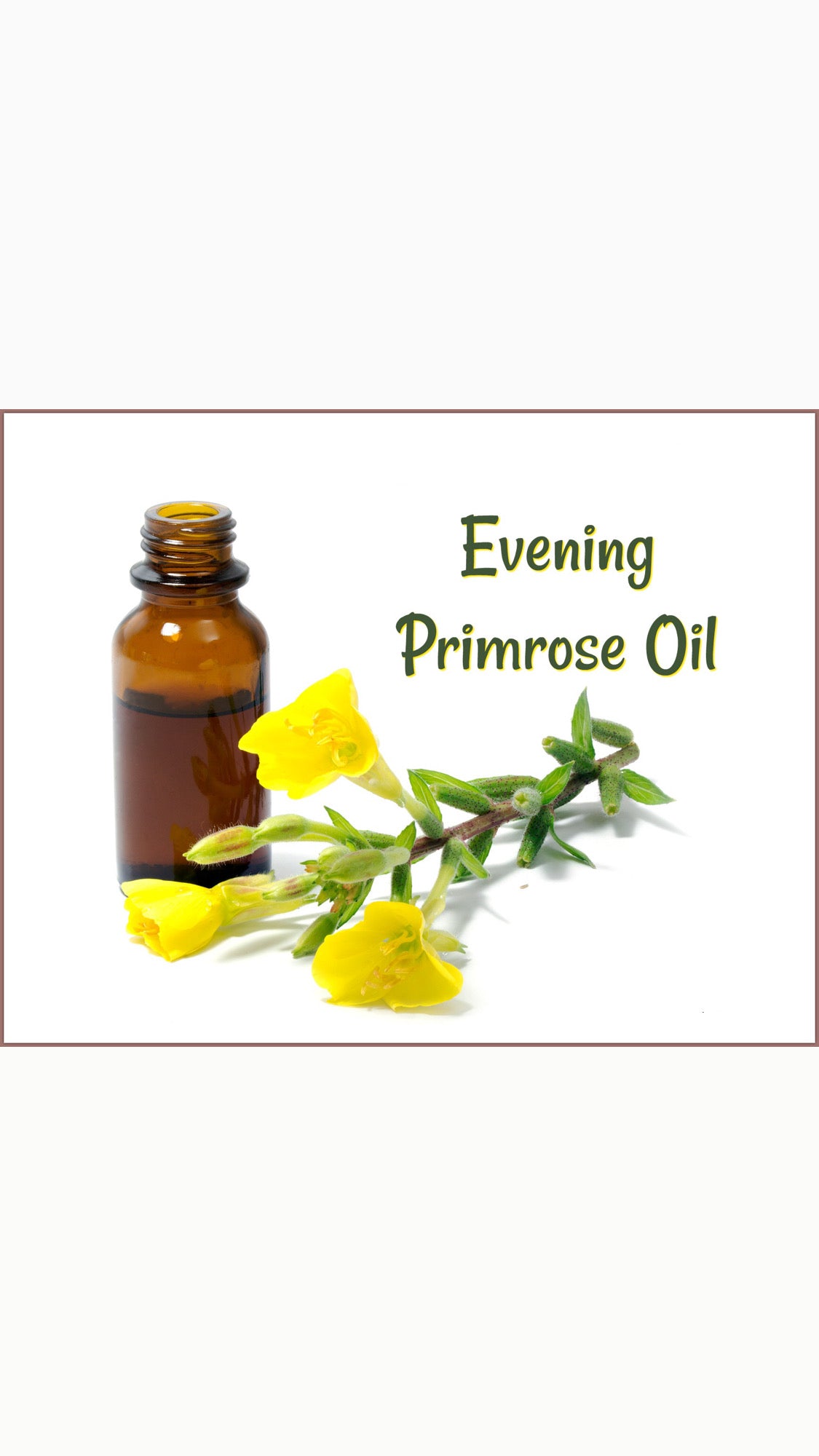evening primrose oil 100ml (unrefined)