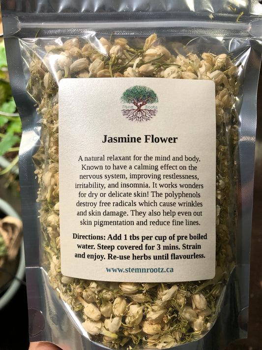 jasmine flower