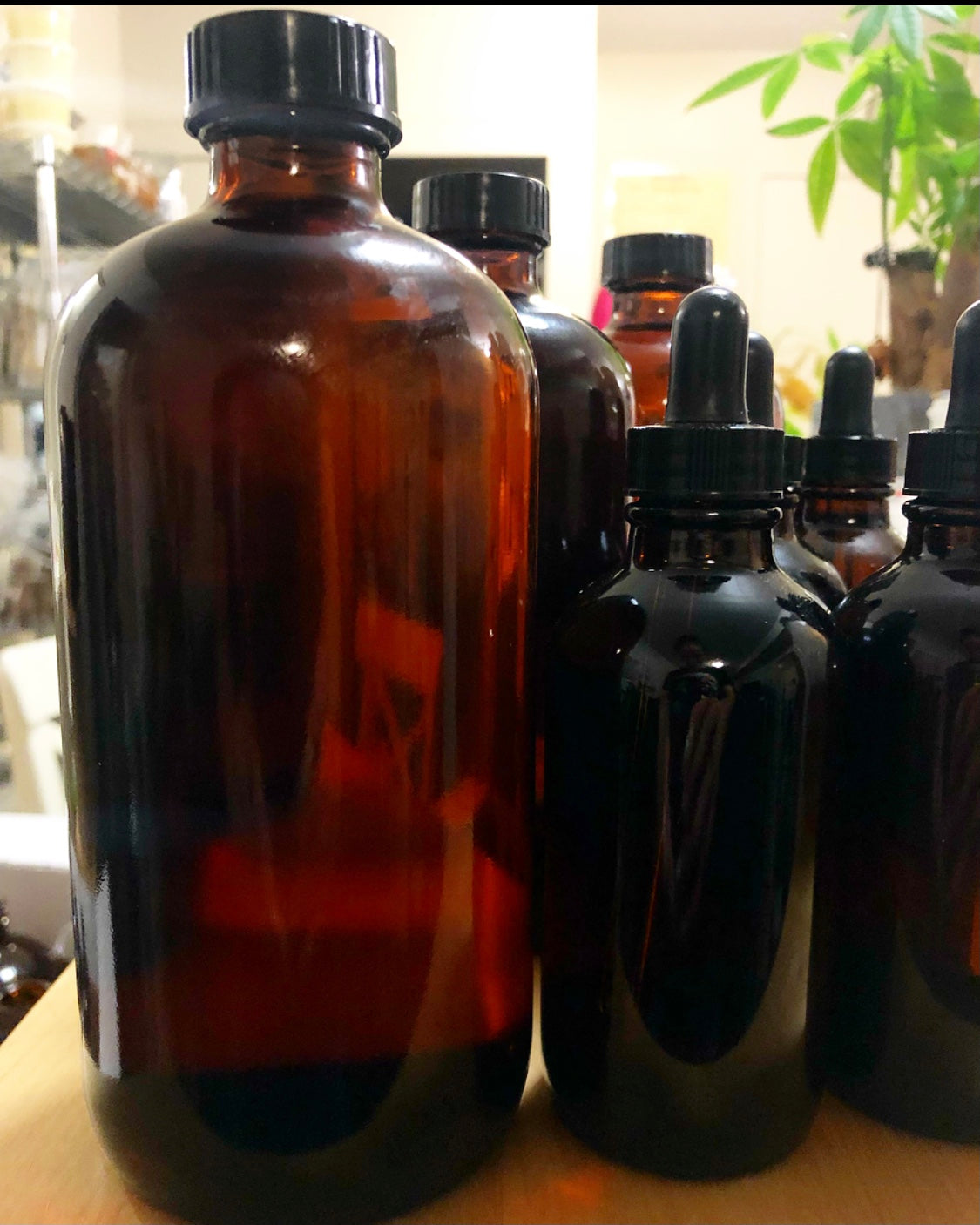 organic jamaican black castor oil