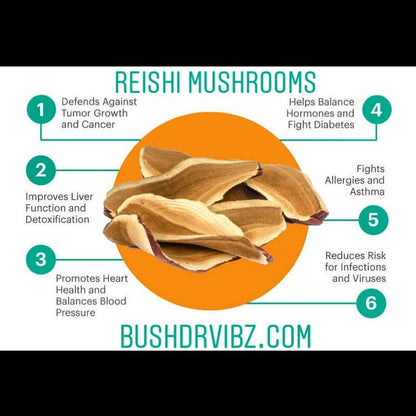 reishi mushrooms 1.5 oz