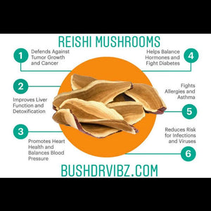 reishi mushrooms 1.5 oz