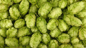 hops 30ml